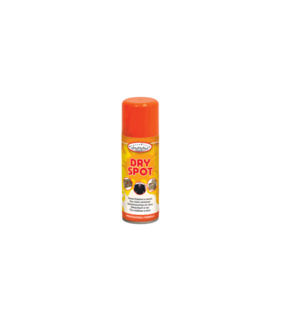DRYSPOT SMACCHIATORE A SECCO SPRAY